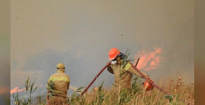 Türkiye'de 5231 yangın: 64 bin 500 hektar alan zarar gördü