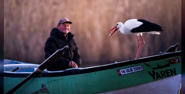 Yaren'in yavruları göç etti: Mısır ve Batı Şeria'ya ulaştılar