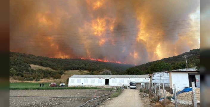 Yenişehir'de orman yangını: Hayvan çiftlikleri tehdit altında