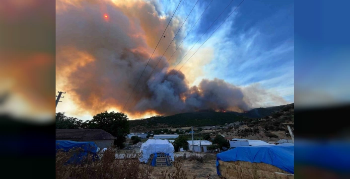 Yenişehir'de orman yangını kontrol altına alındı
