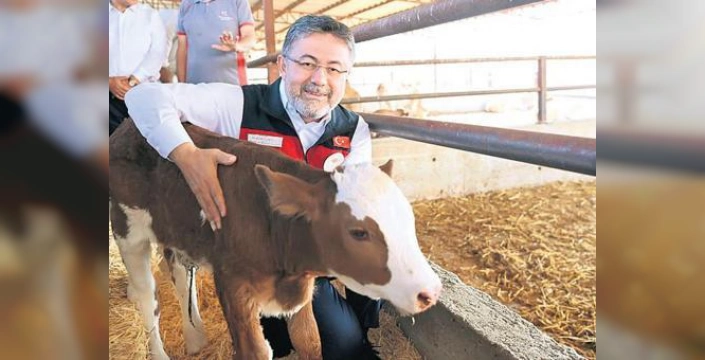 Yumaklı açıkladı: Sütçü ırk sığırlar et üretimi için kullanılacak