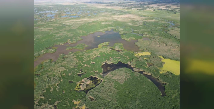 Afyonkarahisar'da Eber Gölü'ne giriş çıkışlar yasaklandı