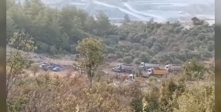 “Akbelen’de Şafak Vakti: Zeytinlikler Jandarma Eşliğinde Kesiliyor”