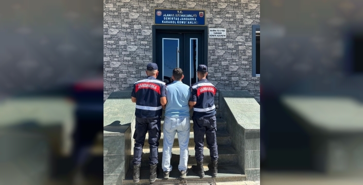 Alanya'da orman yangınıyla ilgili asılsız paylaşımlar yapan kişi yakalandı