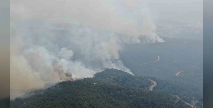 Araç'ta orman yangınları sürüyor: 6 köy tahliye edildi