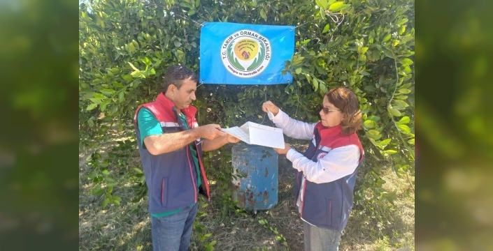 Aydın'da Akdeniz meyve sineği uyarısı: üreticiler mücadeleye başlamalı