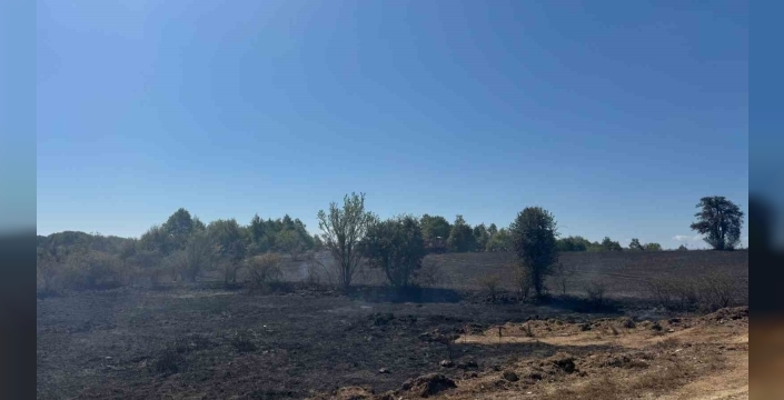 Bilecik'te anız yangını: 2 hektar kül oldu