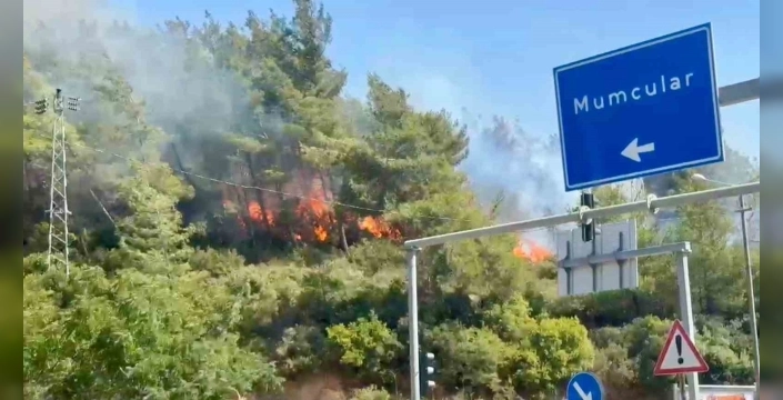Bodrum'da orman yangını kontrol altına alındı