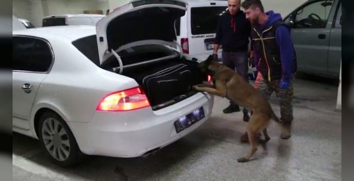 Bolu'da 6 günde 6 kaçakçılık operasyonu: 190 paket sigara ele geçirildi