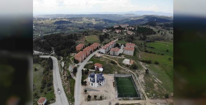 Bursa'da ayı yavruları paniğe neden oldu