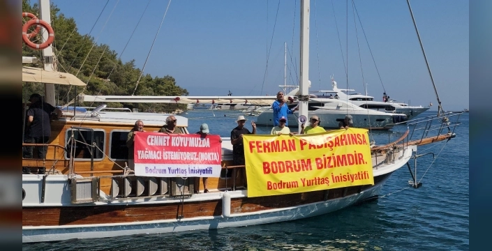 Demirli İşgale, Bodrumlu Tepkisi