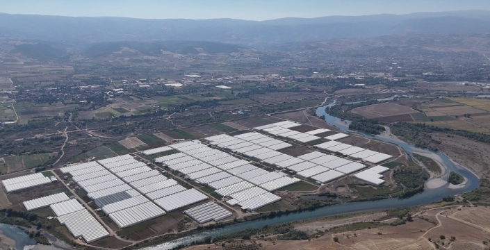 Erbaa'da hazine arazileri kesme çiçek üretim merkezine dönüştü: 2 bin 500 kişiye istihdam