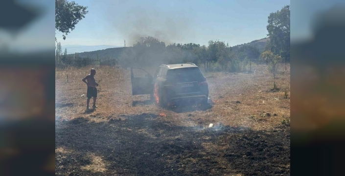 Erdek'te anız yangını: Zeytin ağaçları ve bir otomobil zarar gördü