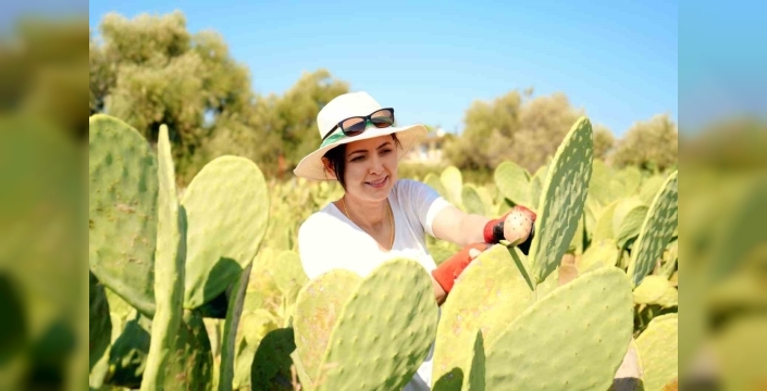 Esra Hurmeydan: Türkiye'nin ilk tescilli dikenli incir bahçesi kuruldu, 10 ton ürün ihraç edildi
