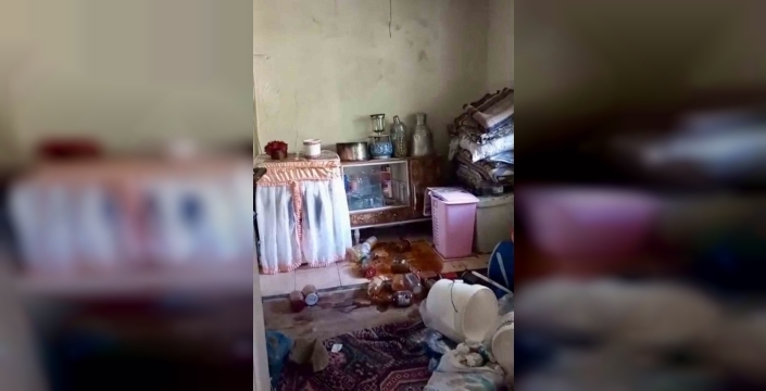 Giresun'da Ayıların Saldırısı: Köyler Tedirgin