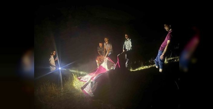 Hakkari'de inek kurtarma operasyonu: Köylüler, halıya sarılı ineği 1 kilometre taşıdı