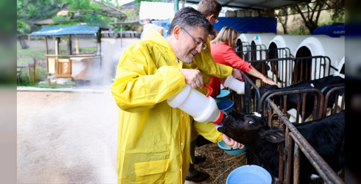 Hayvancılık sektöründe artış: Büyükbaş yüzde 3,65, küçükbaş yüzde 11,6 arttı