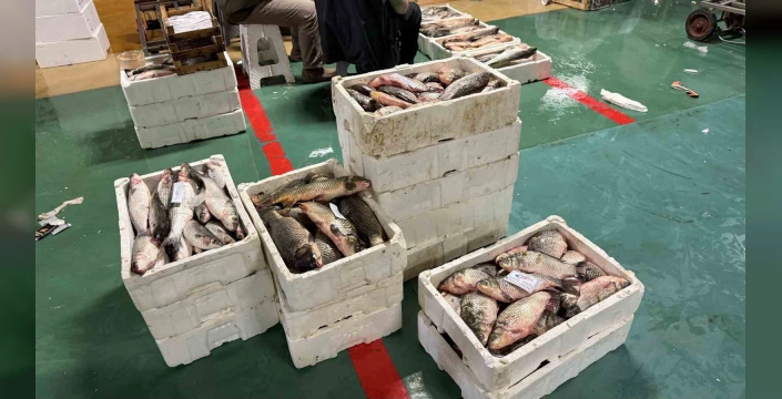 İstanbul'da av yasağı sona erdi: Balıkçılar yeni sezona başladı