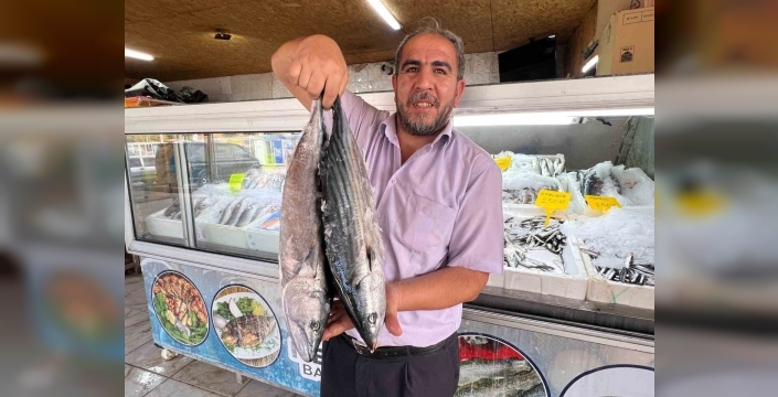Kahramanmaraş'ın balık ihracatı deprem sonrası toparlanmada öne çıkıyor