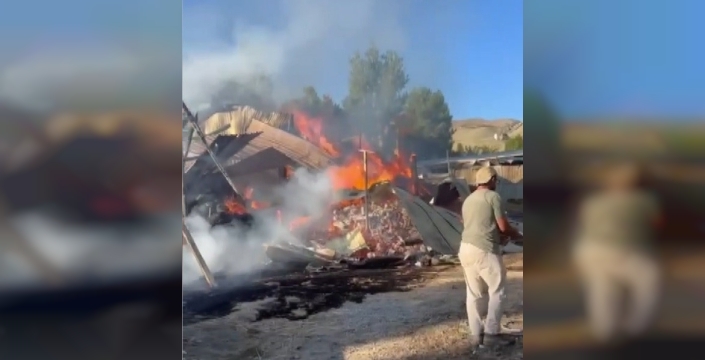 Kemah'ta samanlık yangını: Hayvanlar ve insanlar kurtarıldı