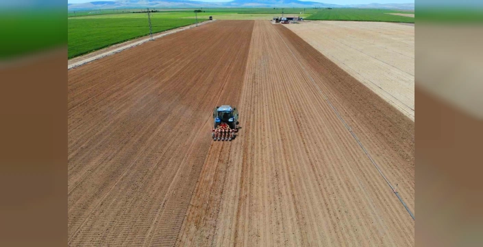 Konya'da 10 bin dekar boş arazi tespit edildi: Kiralık tarla uygulaması başlıyor