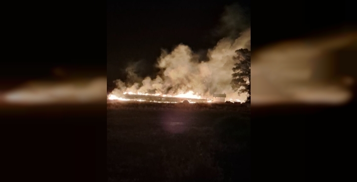 Marmaris'te orman yangını büyümeden söndürüldü