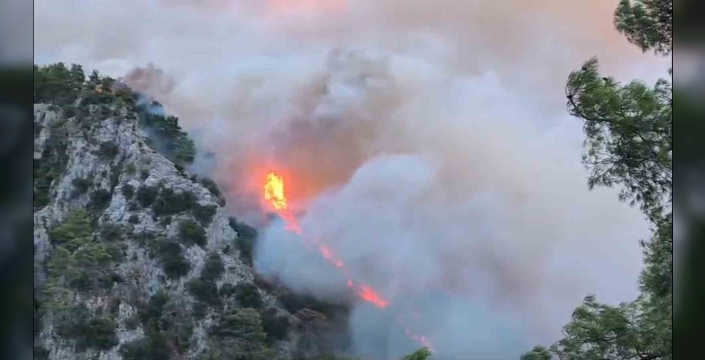 Muğla'da 3 Orman Yangını Devam Ediyor: Hava Desteği Başladı