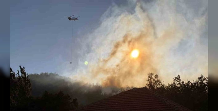Muğla ve Antalya'daki orman yangınları kontrol altında