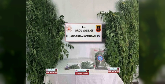 Ordu'da 45 kilo uyuşturucu ele geçirildi