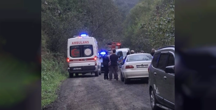 Ordu'da patpat uçuruma yuvarlandı: 70 yaşındaki sürücü hayatını kaybetti