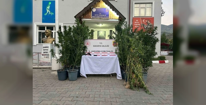 Sakarya'da uyuşturucu operasyonu: 1 şahıs tutuklandı