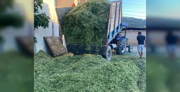 Sarıgöl çiftçileri slaj yem hazırlıklarına başladı