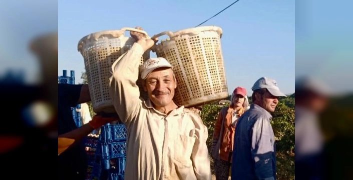 Sarıgöl'de 62 yaşındaki Ali Gubur'un çalışkanlığı örnek oluyor