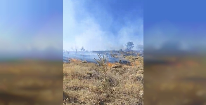 Sincik'te ormanlık alanda yangın: Geven ve meşe ağaçları zarar gördü