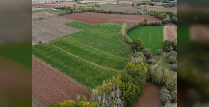 Tarım Bakanlığı'ndan 'kiralık tarla' uygulaması: 14 bin dekar arazi kiraya çıkıyor
