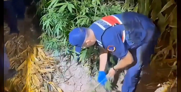 Tokat'ta uyuşturucu operasyonu: 5 tutuklama