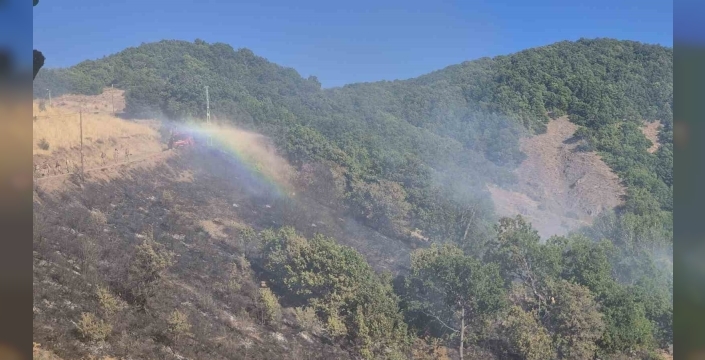 Tunceli Nazımiye'de yangın: Havadan ve karadan müdahale sürüyor