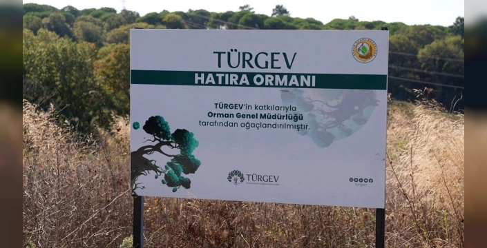 TÜRGEV'in Hatıra Ormanı Projesi: 20 bin 615 fidan geleceğe umut oldu