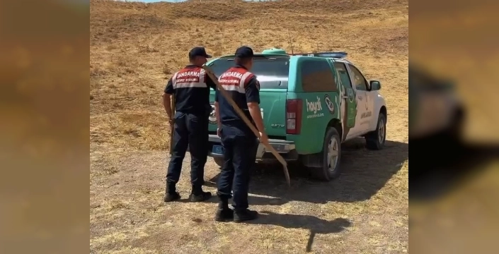 Van'da yaban hayvanları için minyatür su havuzları oluşturuldu