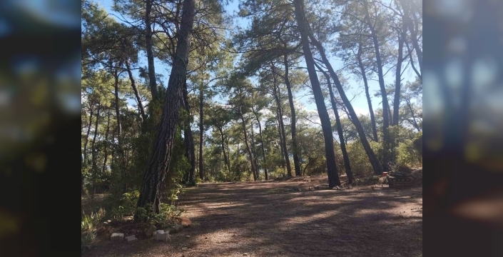 Akyaka Gökova Orman Parkı yeni sezona hazırlanıyor
