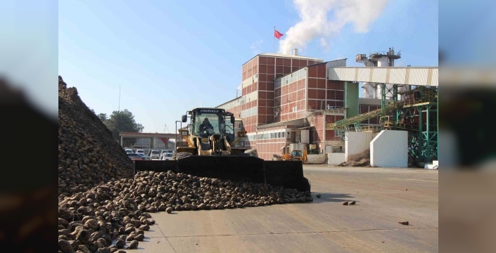 Amasya'da zirai don ve kuraklık pancar üretimini vurdu