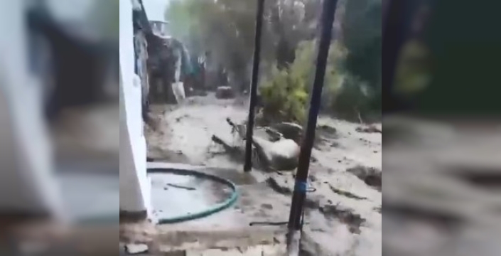 Aydın'da sel felaketi: Hayvanlar sulara kapıldı, mahalleler çamurla doldu