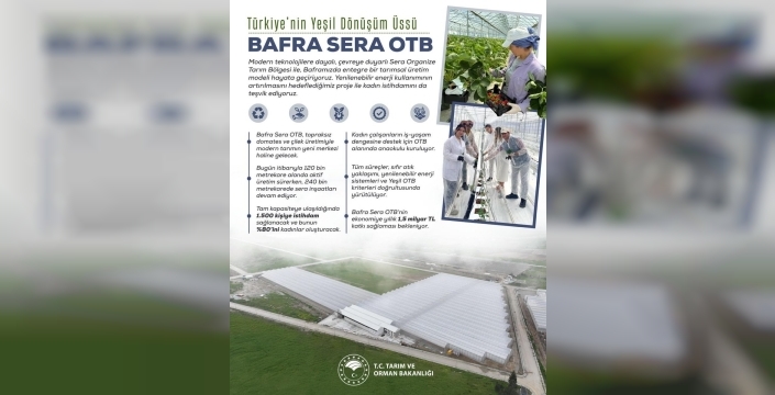 Bafra Sera Organize Tarım Bölgesi: Kadın istihdamına odaklı, ekonomiye 1,5 milyar lira katkı