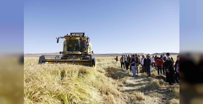 Diyarbakır'da coğrafi işaretli Karacadağ pirinci hasadı üreticileri sevindirdi