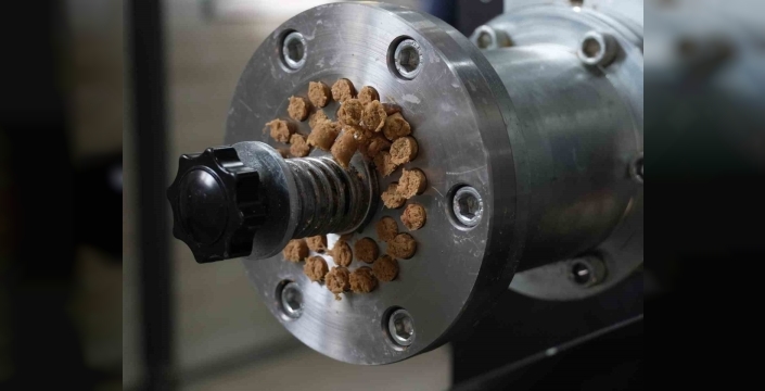 Düzce'nin sevgi fabrikası: Sokak dostlarına umut oluyor