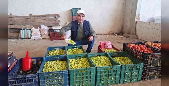 Hisarcıkta ev yapımı salamura zeytine ilgi arttı