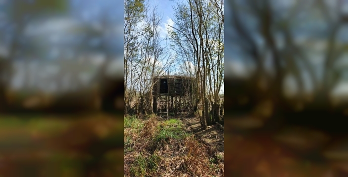 Kaçak avcılara darbe: Sakarya'da gizli kulübeler yok edildi