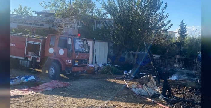 Kırsal yangında facialar: Hayvan kayıpları arttı