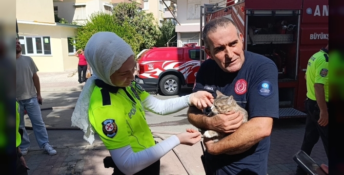 Manavgat'ta apartman dairesinde çıkan yangında kedi kurtarıldı