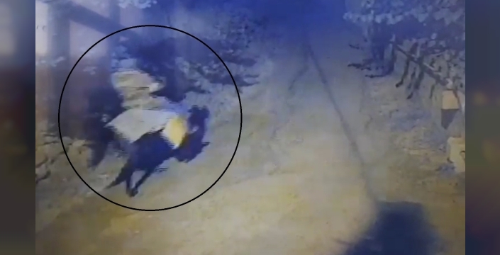 Özel ekip at nalından cinayeti çözdü: Katil zanlısı at üzerinde kaçarken görüntülendi